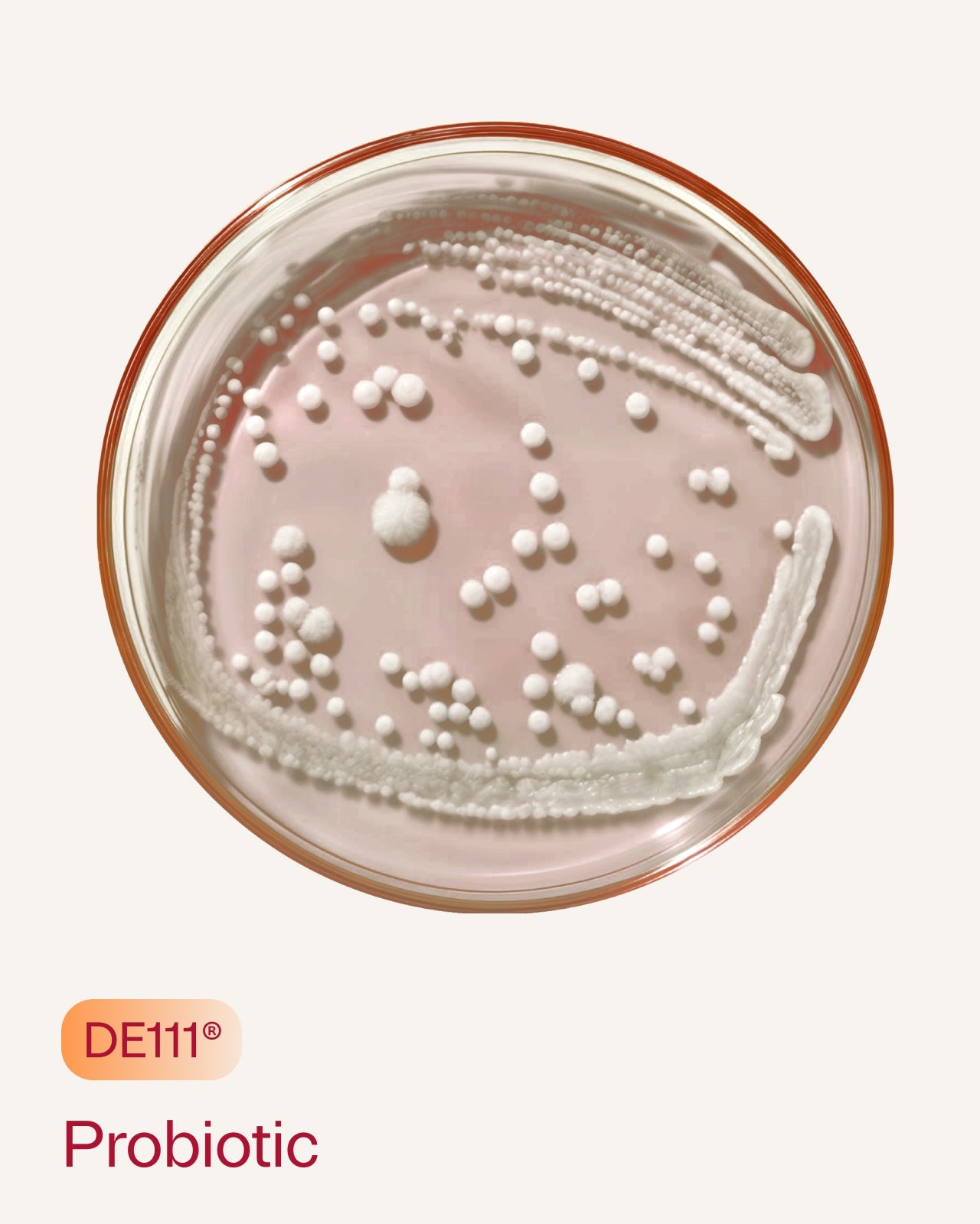 Metra: Daily Calibration Supplement